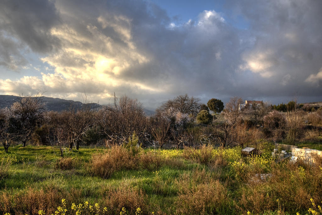 Вилла Lania Royal Oak House By Trulycyprus Экстерьер фото